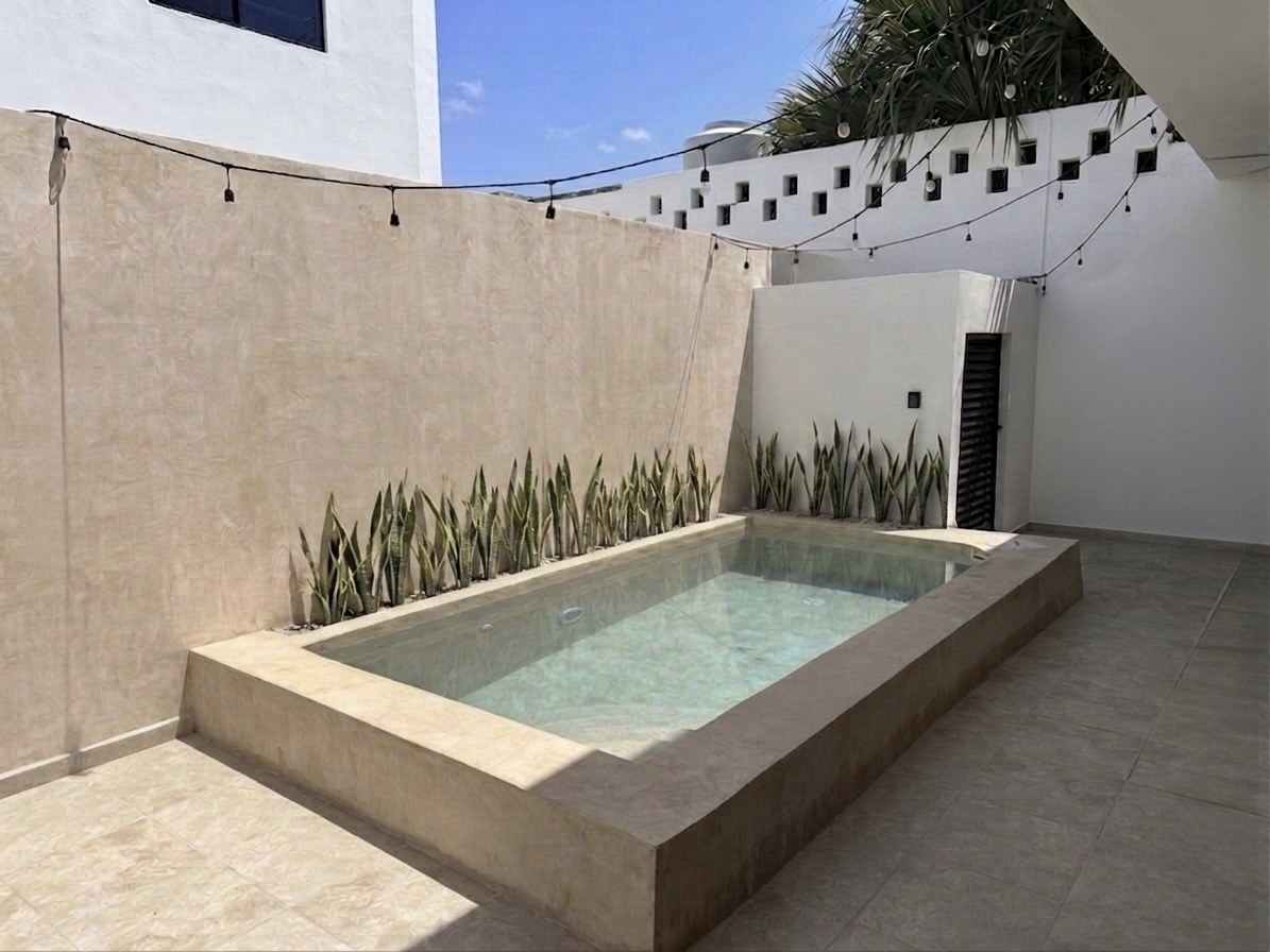 Walled courtyard with plunge pool, snake plants and string lights
